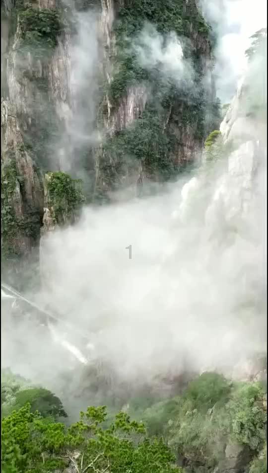救援小蝙蝠